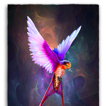 Artist Image