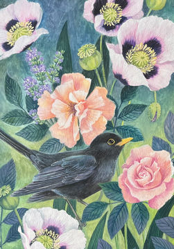 Artist Image
