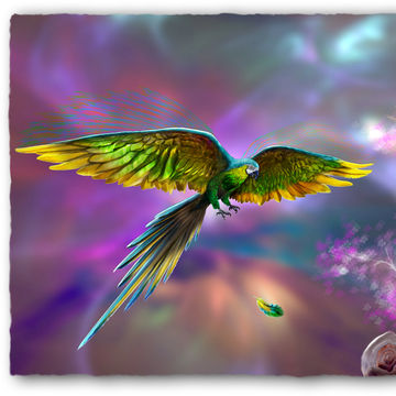 Artist Image