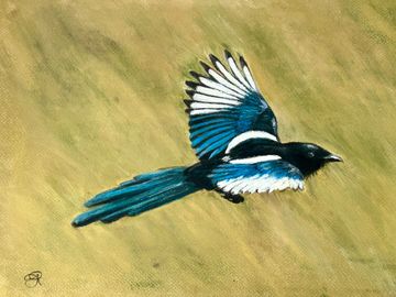 Artist Image