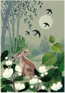 Artist Image