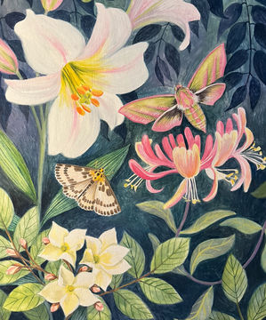 Artist Image