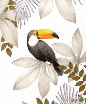 Artist Image