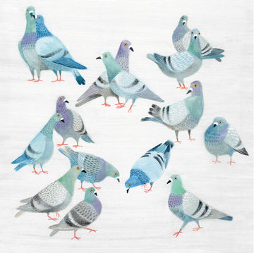 Artist Image