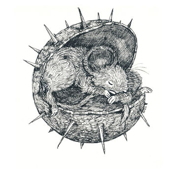 Artist Image