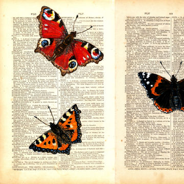 Artist Image