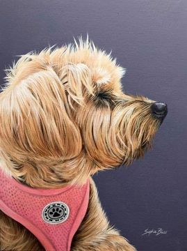 Artist Image