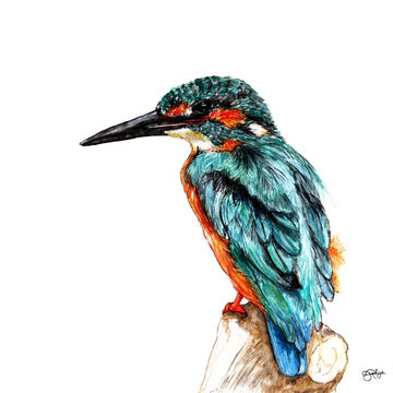 Artist Image